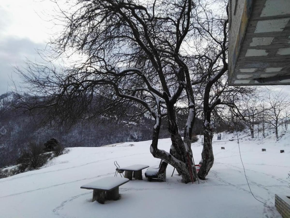 Bujtina E Tomorrit Hotel Ujanik Luaran gambar