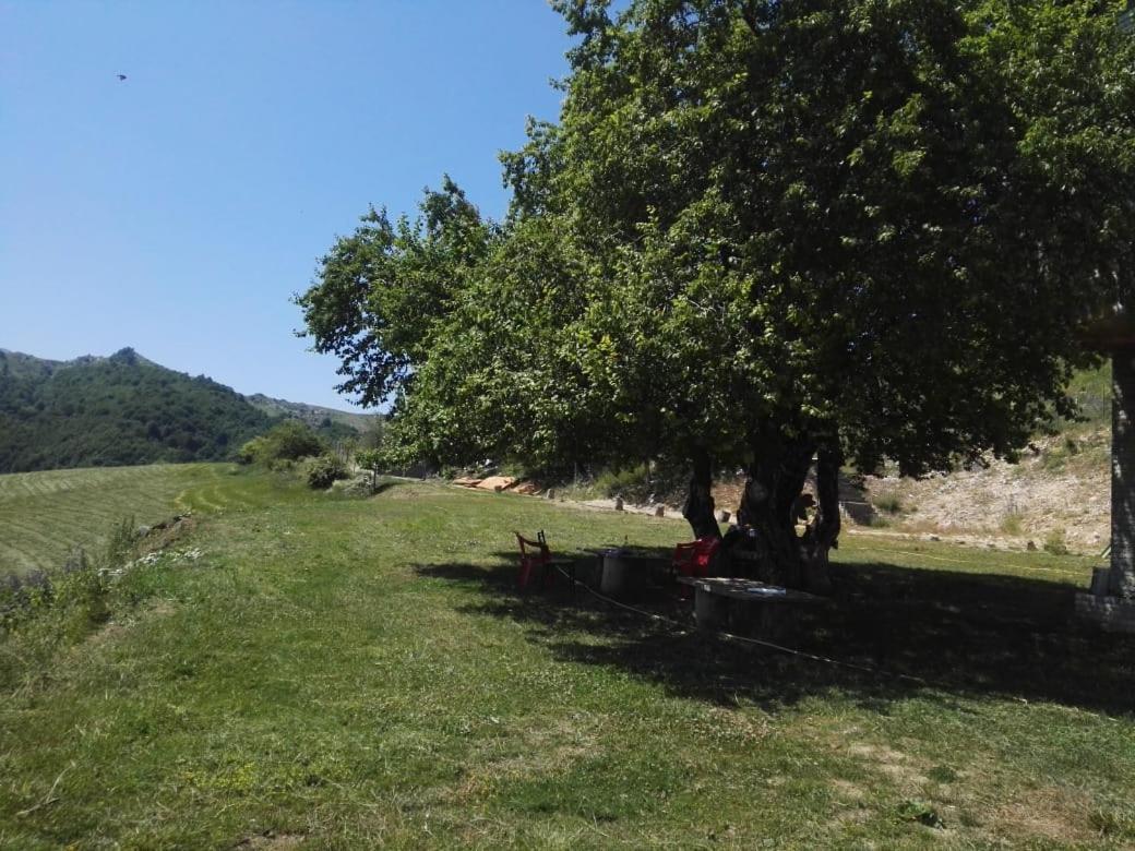 Bujtina E Tomorrit Hotel Ujanik Luaran gambar