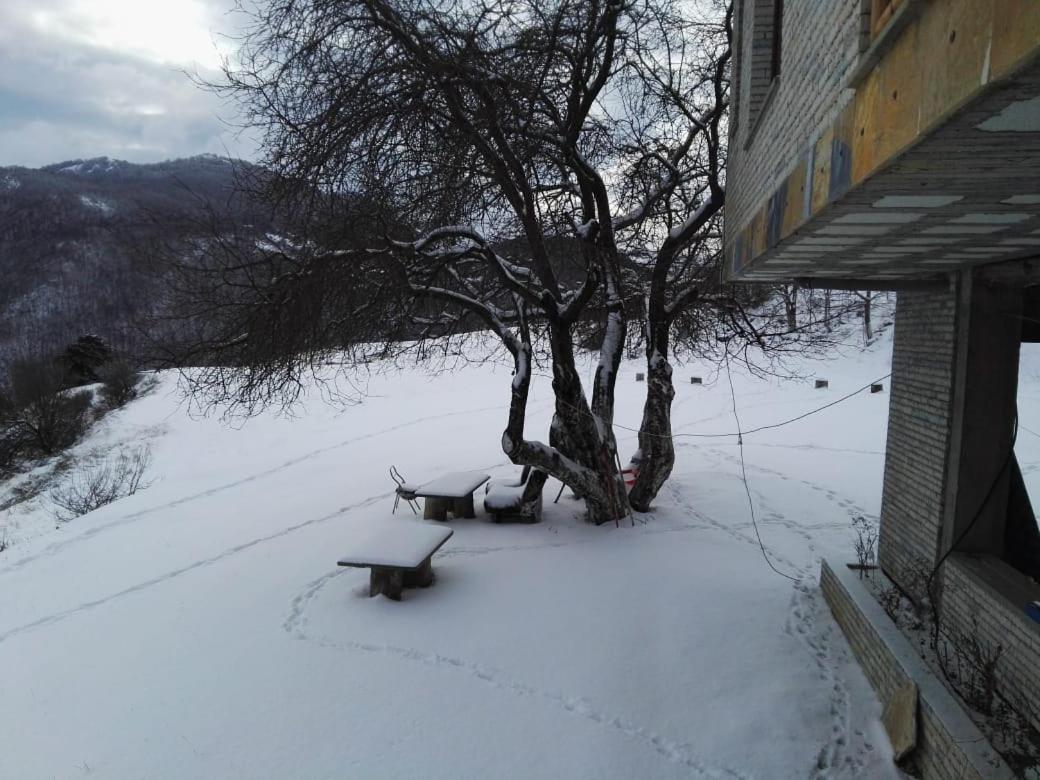 Bujtina E Tomorrit Hotel Ujanik Luaran gambar